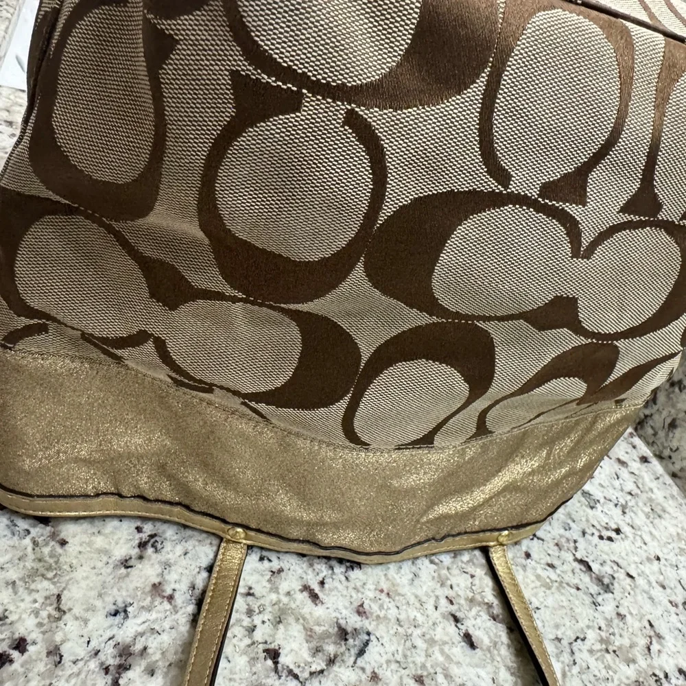 Coach chrysanthemum appliqué